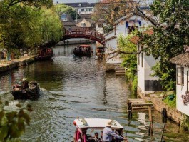 上海的后花园是花桥吗【上海的后花园是花桥吗还是郊区】