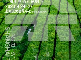 上海品茶2020【上海品茶喝茶工作室】