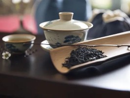 上海品茶是什么意思【上海品茶2021】