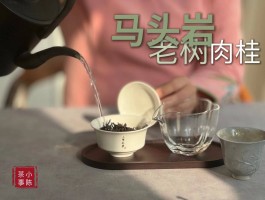 上海品茶2020【上海品茶喝茶】