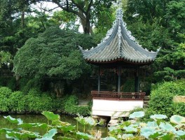 上海的后花园【上海的后花园是苏州的哪个区】