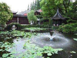 苏州为什么是上海的后花园【苏州为什么是上海的后花园之一】